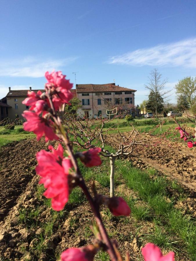 ホテルFattoria Del Soul Bosco Marengo エクステリア 写真